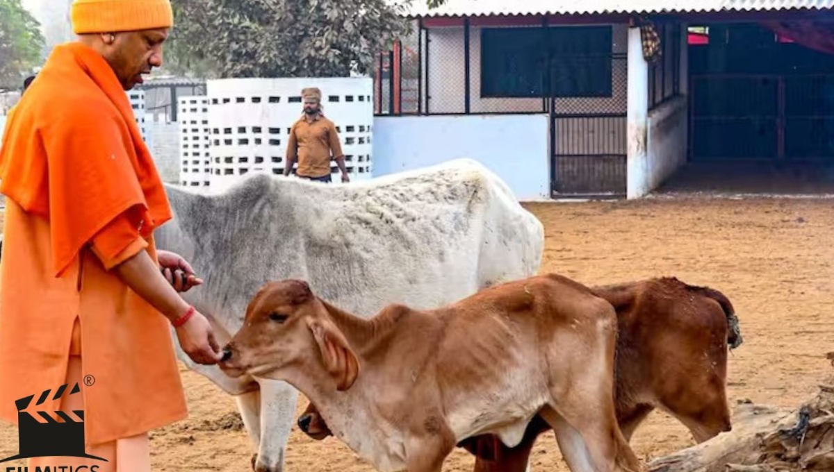 Cow-goat rearing scheme: सपनों को पंख देने का सरकारी भरोसा