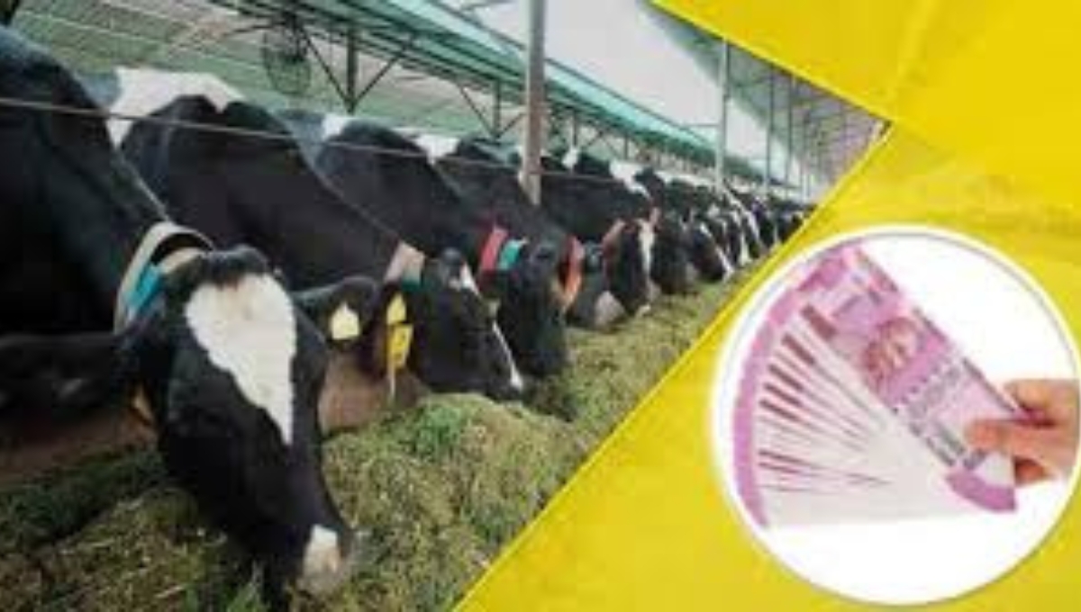 SBI Animal Husbandry Loan Scheme: ग्रामीण युवाओं के सपनों को पंख देने का सुनहरा अवसर 