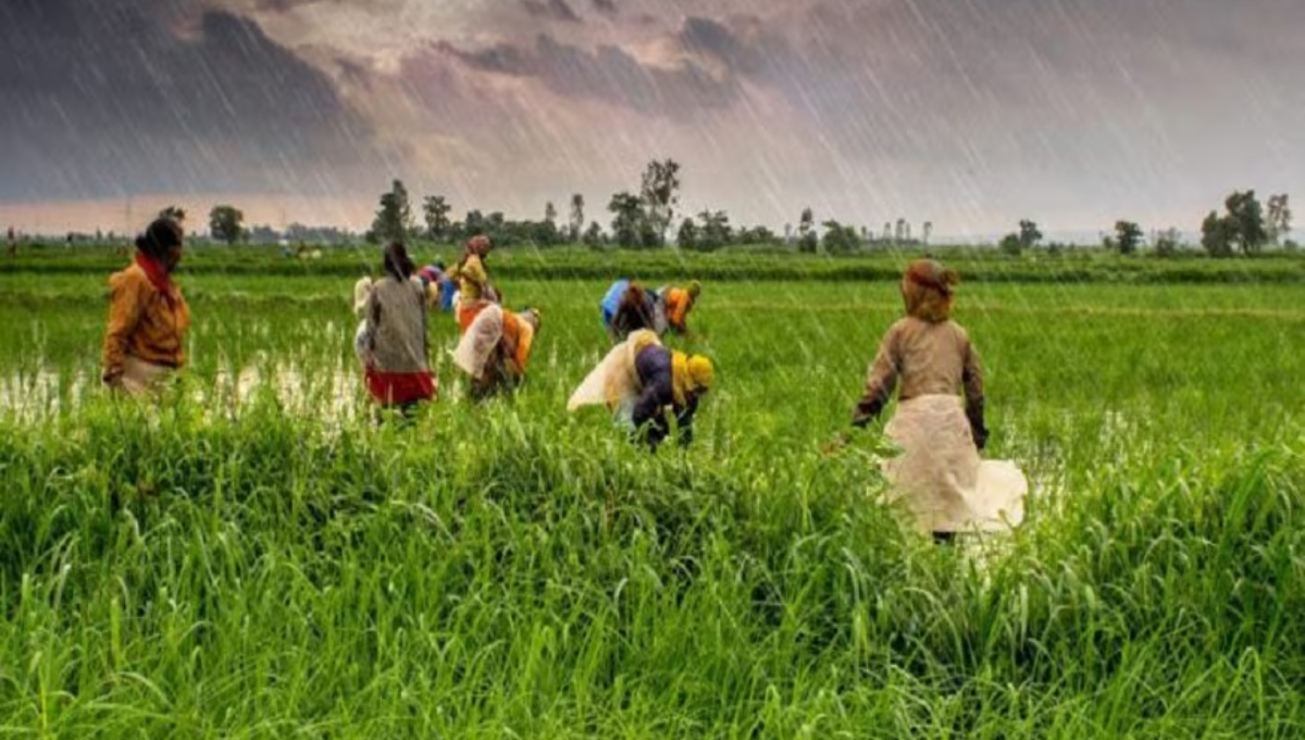 PM Kusum Yojana 2025: किसानों के खेतों में हरियाली लाने का सुनहरा मौका 