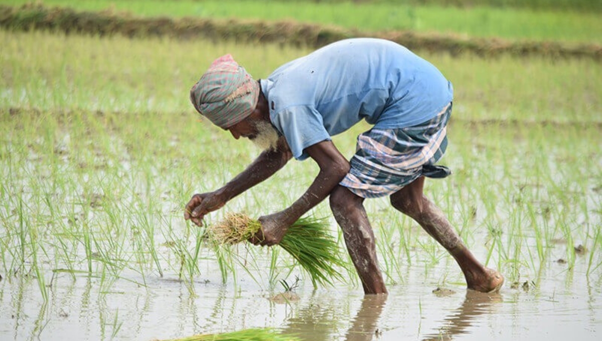 PM Kusum Yojana 2025: किसानों के खेतों में हरियाली लाने का सुनहरा मौका 