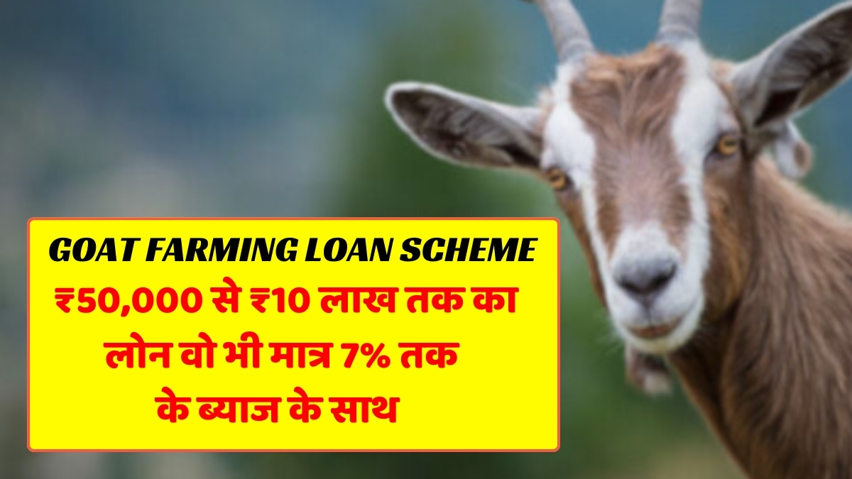 Goat Farming Loan Scheme 2025: गांव की खुशहाली और रोजगार का नया रास्ता