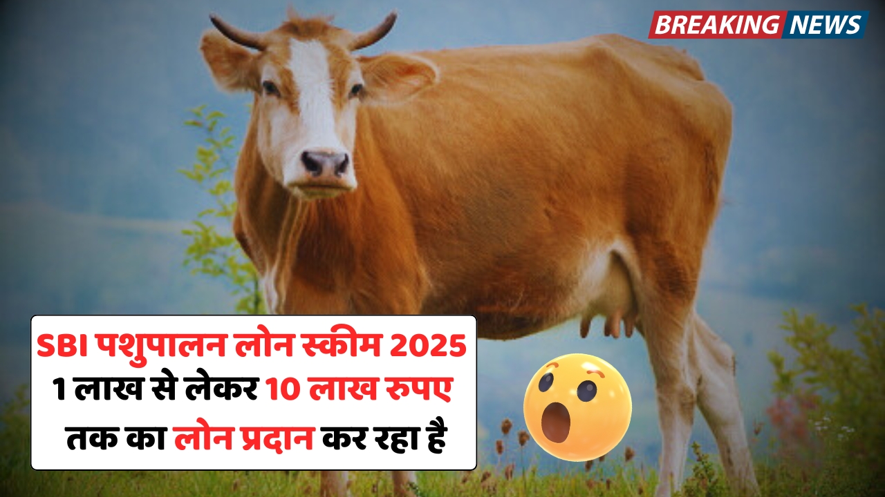 SBI Animal Husbandry Loan Scheme: ग्रामीण युवाओं के सपनों को पंख देने का सुनहरा अवसर